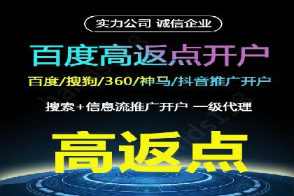 SEM托管服务，成功案例分享转化秘诀